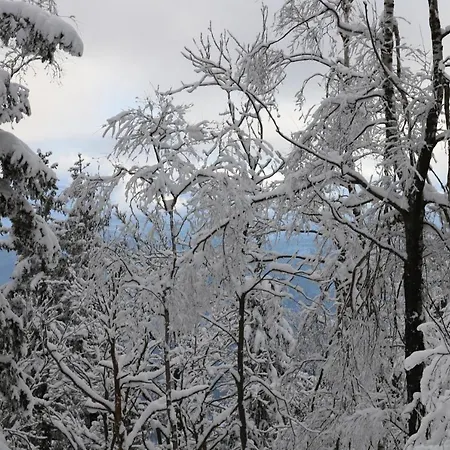 A7 斯克拉斯卡波伦巴