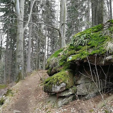 A7 * 斯克拉斯卡波伦巴